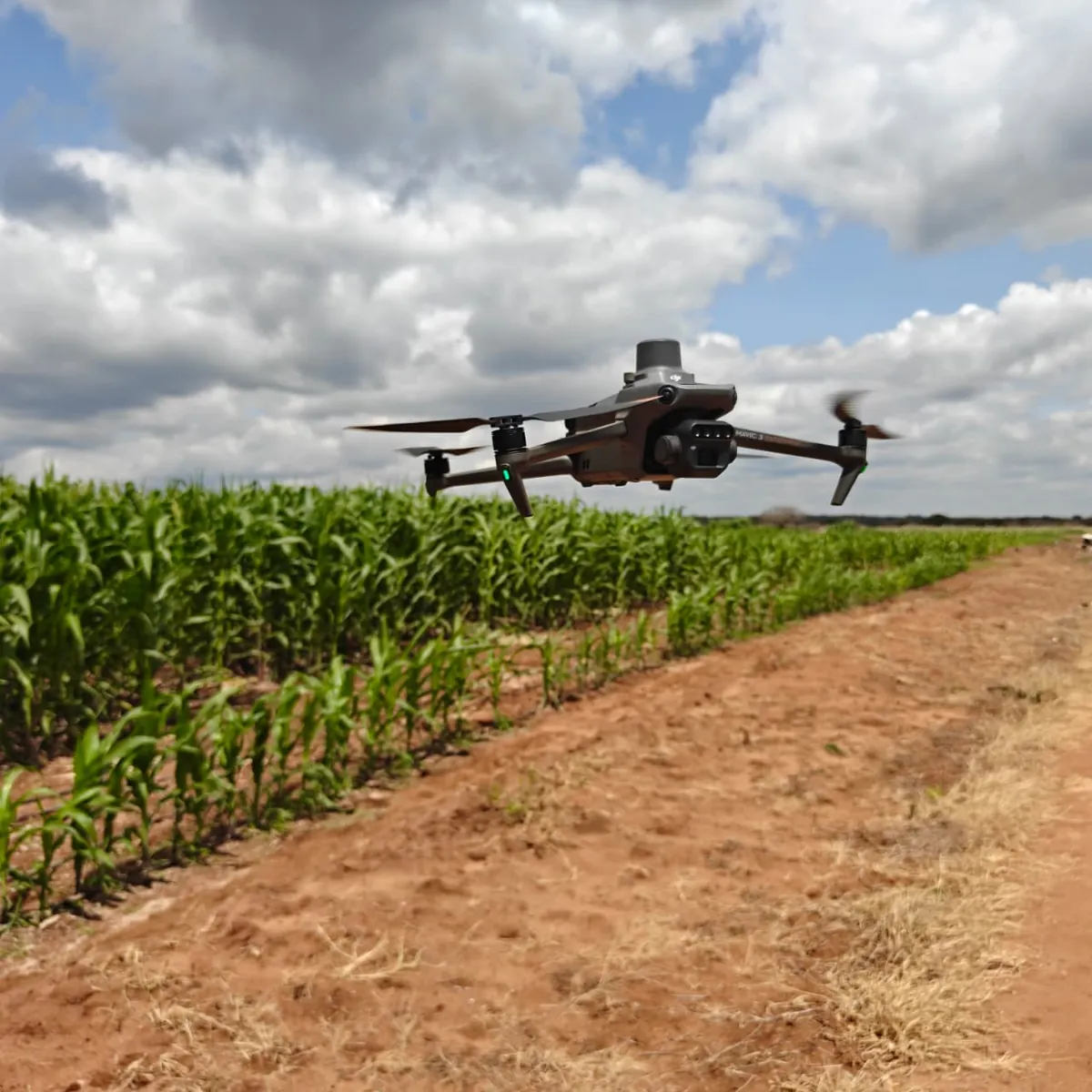 Agricultural drone surveying crop fields